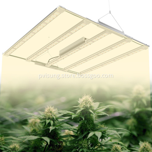 Led Grow Light Grow Tent